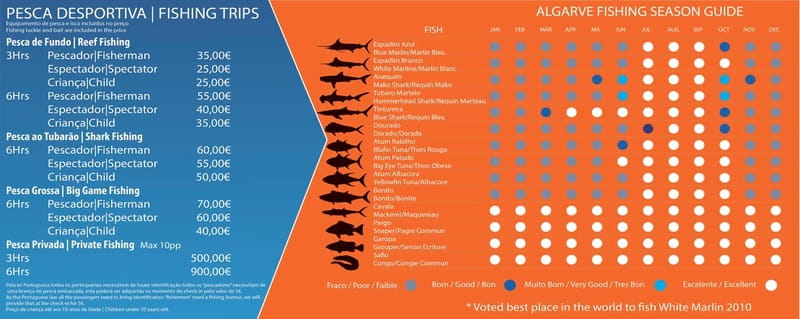 Reef Fishing in Vilamoura - Key highlights at a glance