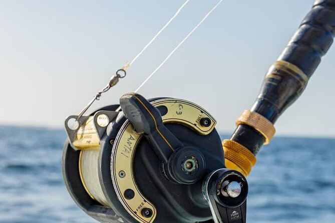 Reel Adventures: A Fin-tastic Fishing Tour - What’s included: rods, reels, bait, tackle, plus beers and water