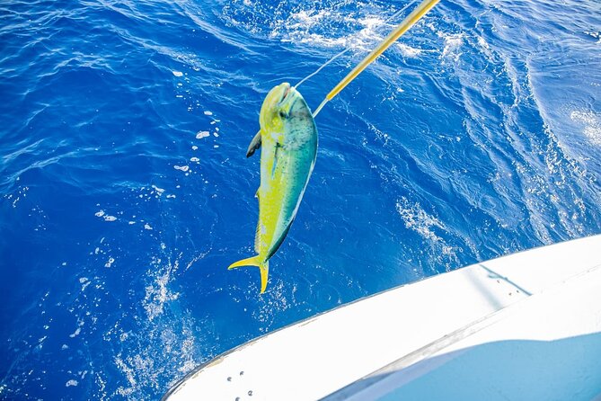 Reel Adventures: A Fin-tastic Fishing Tour - When you catch: managing expectations the honest way