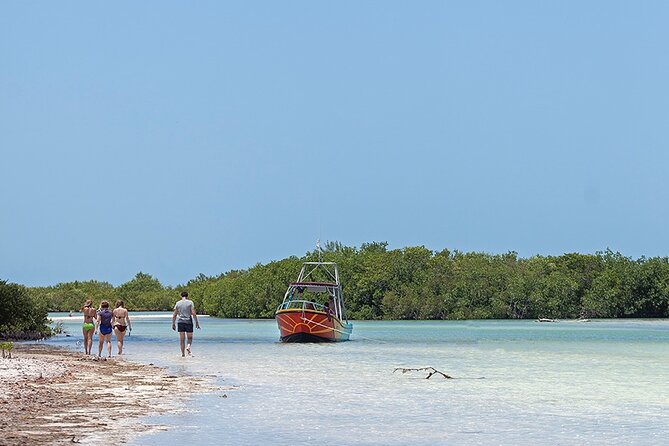 Relaxing private boat tour to Cabo Catoche with fishing - Cuevones snorkeling: shallow water, soft coral, and nurse sharks nearby