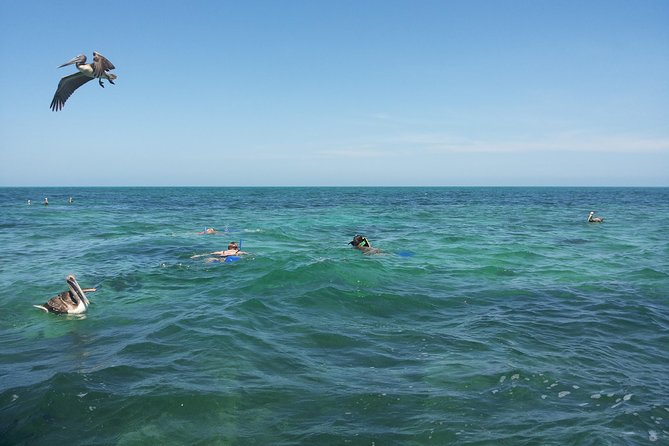 Relaxing private boat tour to Cabo Catoche with fishing - Virgin beach and beach ceviche: the part that turns into a memory