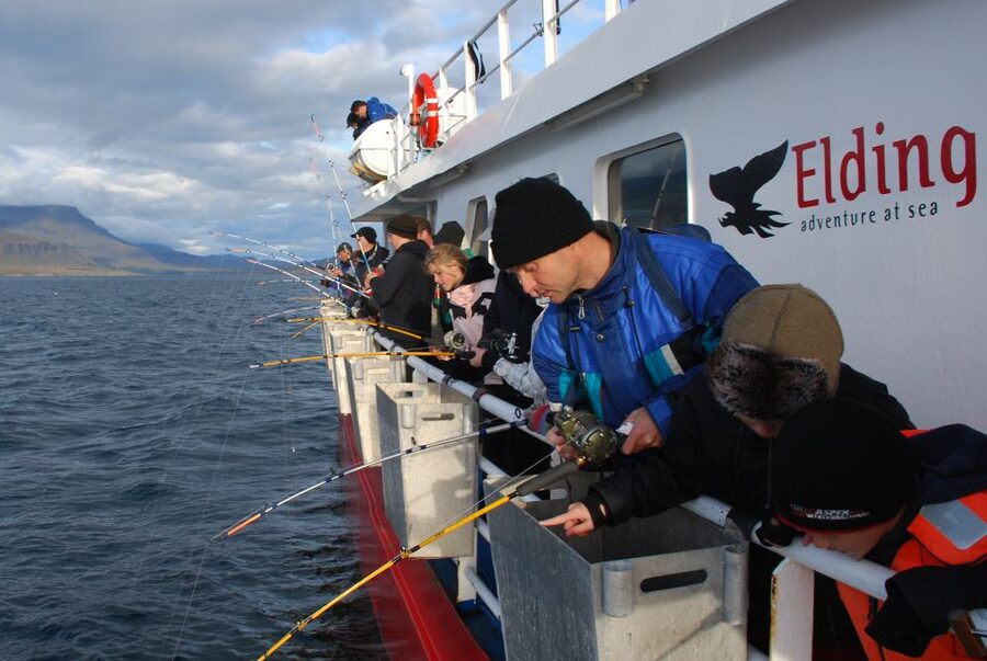 Reykjavik: 3-Hour Sea Angling Gourmet Experience Tour - Wildlife Over the Water: Whales and Puffins Possible