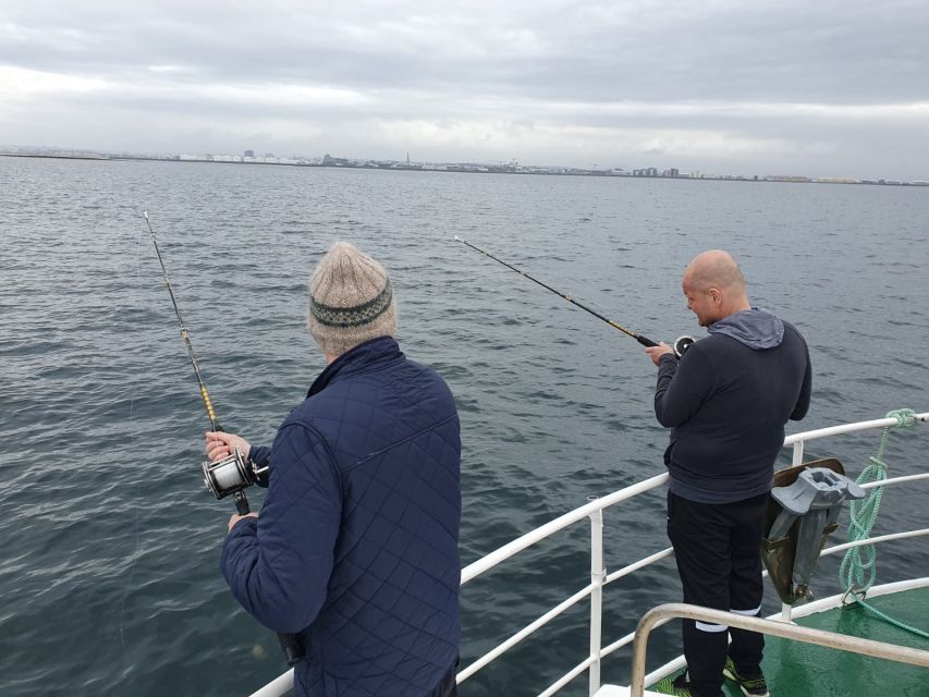 Reykjavik's Finest Catch: Guided Sea Angling Tour - The 25-Minute Sightseeing Cruise: Short Views, No Time Wasted