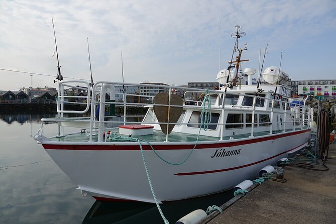 Reykjavik's Finest Catch: Guided Sea Angling Tour for All Levels - Stop-by-stop: the Hlésgata 1 departure and the rest of your 3 hours