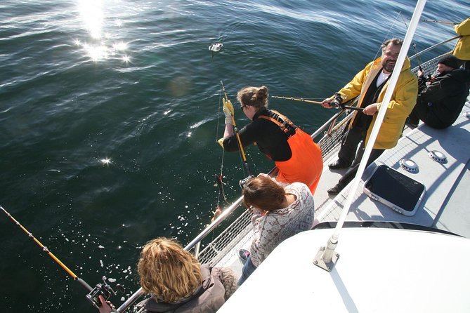 Reykjavik Sea Angling Gourmet - Sea angling in Faxaflói: the straightforward, hands-on format