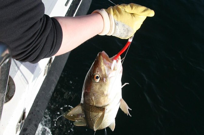 Reykjavik Sea Angling Gourmet - Getting ready onboard: rain gear, rods, and real instruction