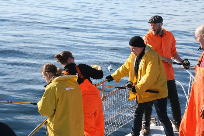 Reykjavik Sea Angling Gourmet - The BBQ lunch on the way back: why the meal is part of the attraction