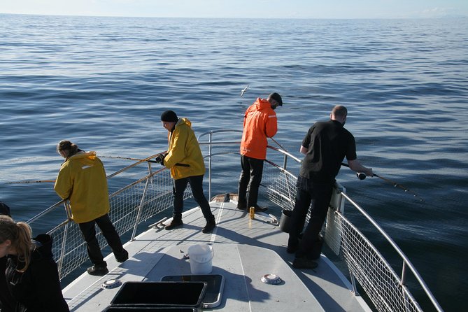 Reykjavik Sea Angling Gourmet - Price and value: what $160 buys you in real terms