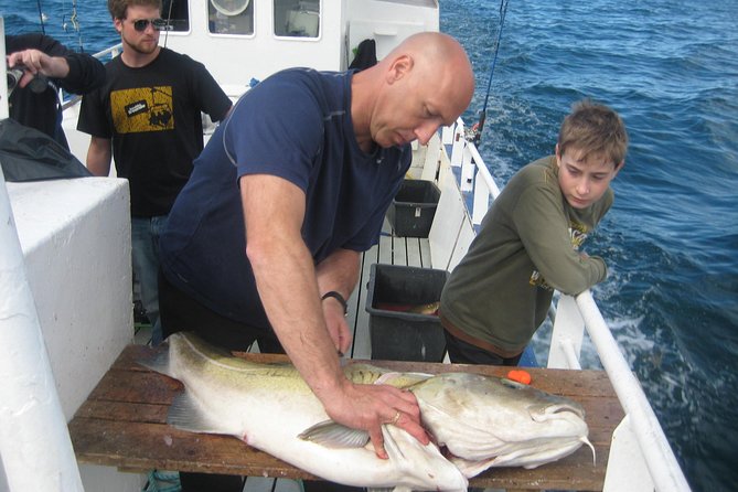 Reykjavik Sea Angling Gourmet - Where you start in Reykjavik: Hlésgata 1, right where the action is