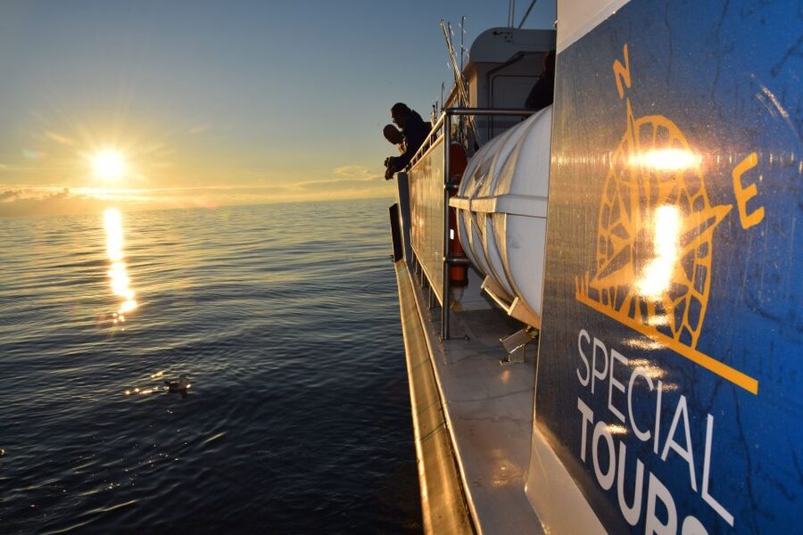 Reykjavik: Sea Fishing Boat Tour & BBQ with the Day's Catch - Quick hits to know before you go
