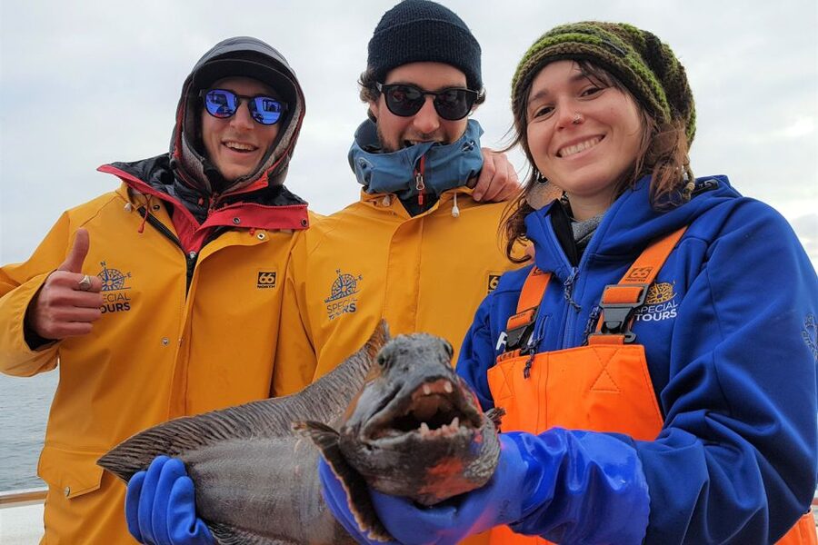 Reykjavik: Sea Fishing Boat Tour & BBQ with the Day's Catch - Who should book this sea fishing and BBQ tour?