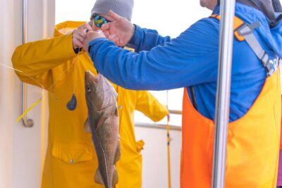 Reykjavik: Sea Fishing Boat Tour & BBQ with the Day's Catch - Learning the ropes: what “expert guides” means in real life