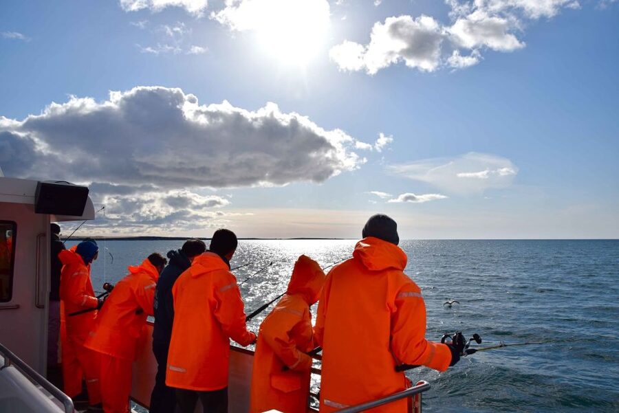 Reykjavik: Sea Fishing Boat Tour & BBQ with the Day's Catch - Your onboard BBQ: eating what you caught, right there at sea