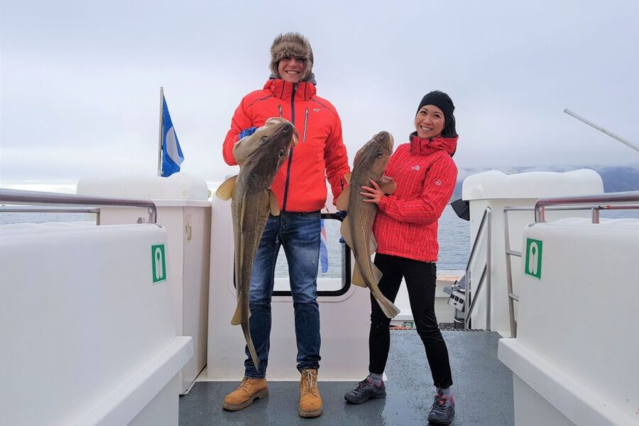 Reykjavik: Sea Fishing Boat Tour & BBQ with the Day's Catch - Puffins, whales, and dolphins: the nature bonus (not guaranteed, but real)
