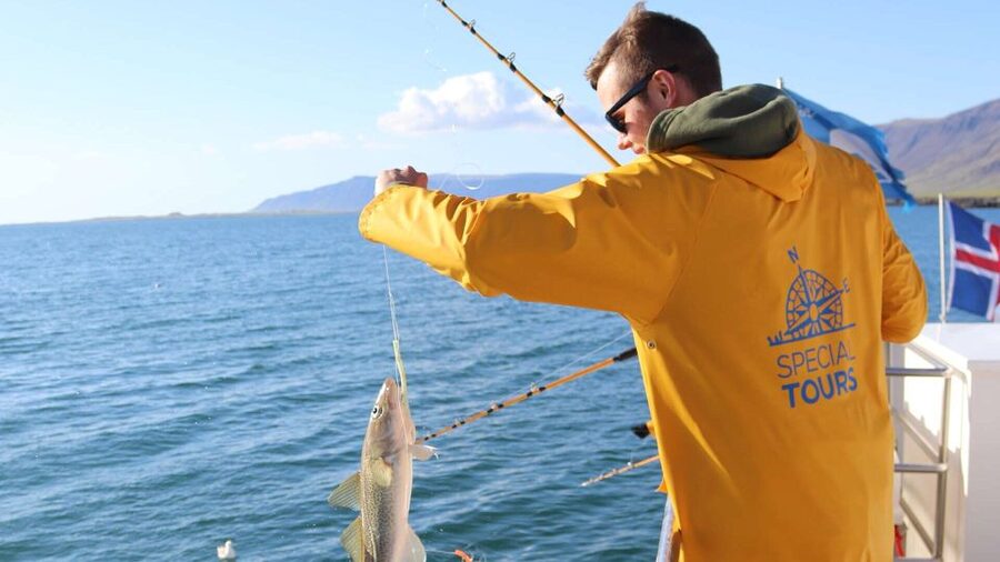 Reykjavik: Sea Fishing Boat Tour & BBQ with the Day's Catch - Weather, sea sickness, and where to ride out the rough parts