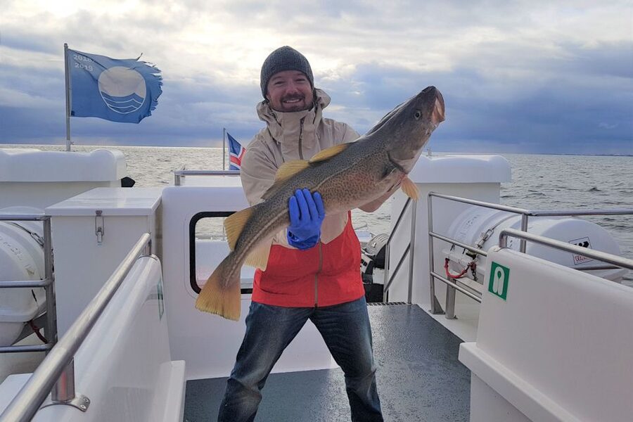 Reykjavik: Sea Fishing Boat Tour & BBQ with the Day's Catch - Price and value: is $141 worth it?
