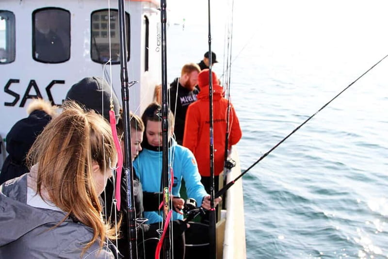 Reykjavik: Traditional Sea Fishing with BBQ Feast - Old Harbour check-in: finding the boat by Víkin Maritime Museum