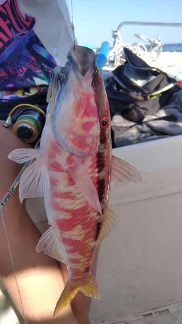 Rhodes: (4H/6H) Private Boat Fishing Trip with Equipment - Why a Rhodes private fishing trip feels special (not like a tourist “activity”)