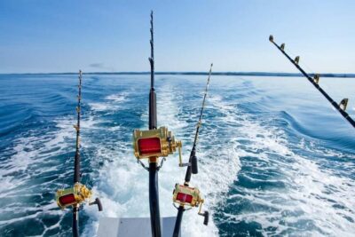 Rhodes: (4H/6H) Private Boat Fishing Trip with Equipment - Getting started at Faliraki Harbor: pickup, meeting point, and timing