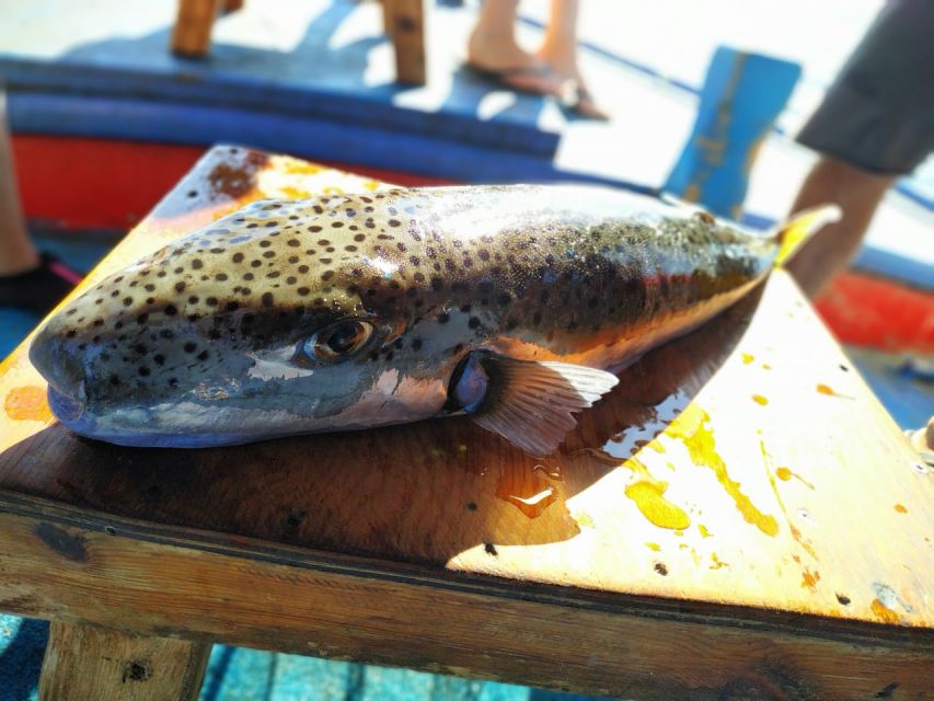 Rhodes Town: Fishing Boat Trip with Fish Meal and Swim Stops - Key highlights worth planning around