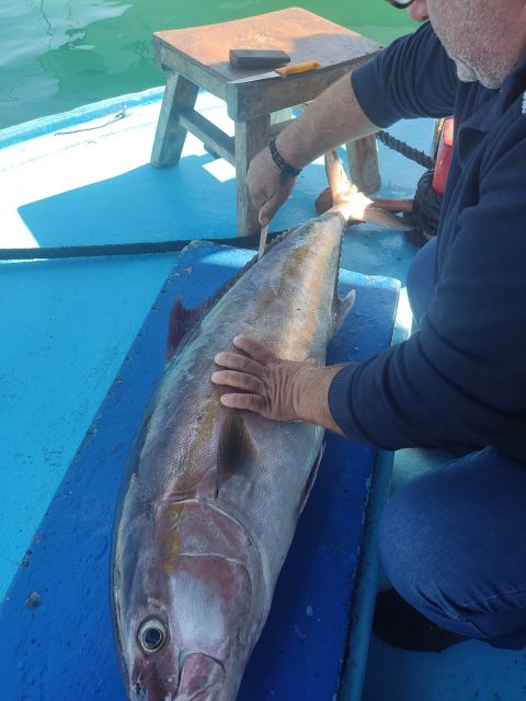 Rhodes Town: Fishing Boat Trip with Fish Meal and Swim Stops - Fishing coaching you can actually use (even if you’ve never fished)