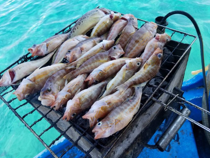 Rhodes Town: Fishing Boat Trip with Fish Meal and Swim Stops - Price and value: what $76 buys you (and what it doesn’t)
