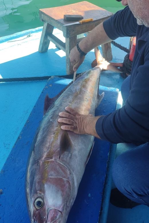 Rhodes Town: Fishing Boat Trip with Fish Meal and Swim Stops - Who should book this (and who might want a different day)