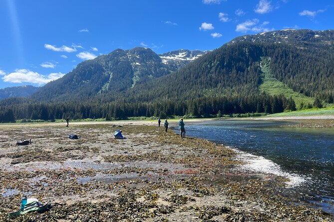 River Fishing and Bear Watching - The seasonal magic: salmon spawn, berries, and the extras