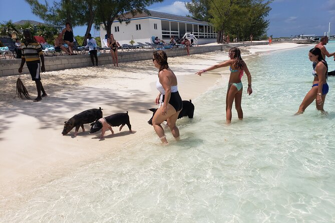 Rose Island: Private Snorkeling, Fishing, and Swimming with Pigs - Key Points Before You Go