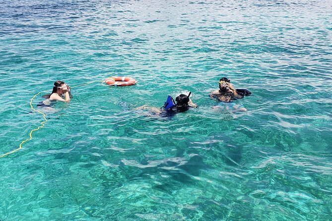 Rose Island: Private Snorkeling, Fishing, and Swimming with Pigs - Rose Island Beach Time: White Sand, Relaxing, and Built-In Options