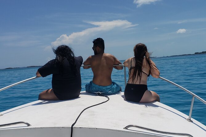 Rose Island: Private Snorkeling, Fishing, and Swimming with Pigs - The Pig Swim Is Real, but It’s Not Included