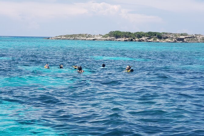 Rose Island: Private Snorkeling, Fishing, and Swimming with Pigs - What You Get, What You Don’t, and What That Means for Your Budget