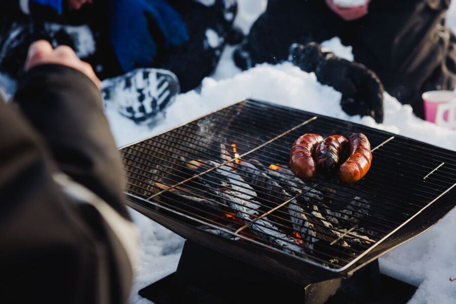 Rovaniemi: Arctic Circle Ice Fishing Experience - Target fish in Lapland: what you can catch
