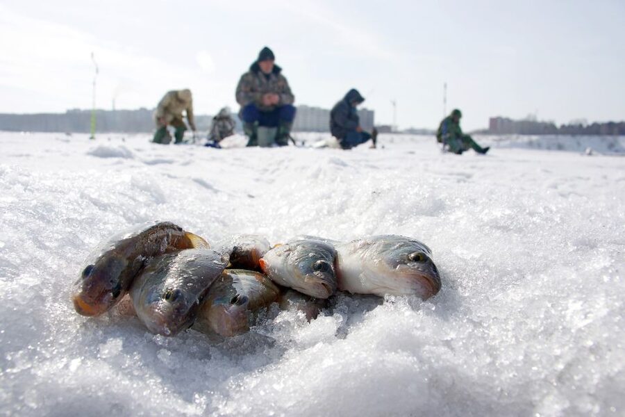 Rovaniemi: Arctic Circle Ice Fishing Experience - Fishing scenery: where you stand makes the trip