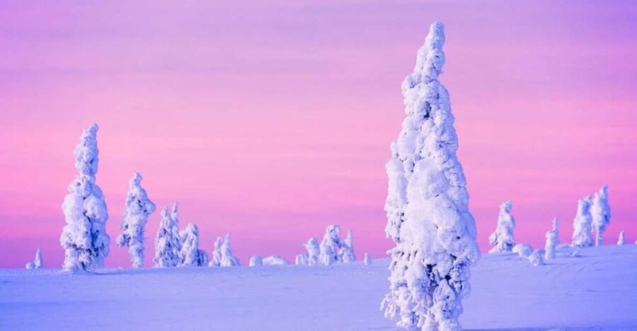 Rovaniemi: Half-Day Snowmobile & Ice Fishing Experience - Timing and group size: why your start time can shift