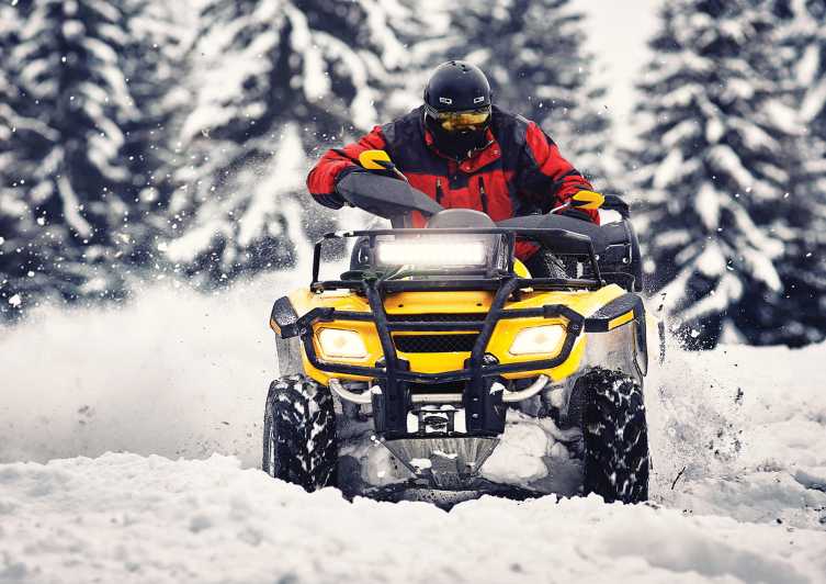 Rovaniemi: Quad Bike Ride and Ice Fishing - H2: One Hour on a Quad Bike: Forest Tracks, Sunlight, and the Arctic Circle Mood