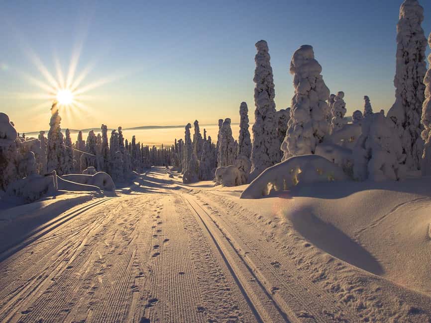 Rovaniemi: Snowshoeing, Ice Fishing and Salmon in Kota - Snowshoeing in Lapland’s primeval forest (why special footwear is the point)