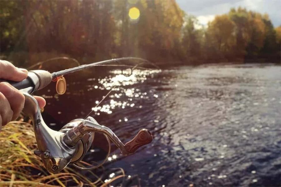 Rovaniemi: Summer & Autumn Fishing Tour in Lapland & BBQ - The Simple Bottom Line: Should You Book It?