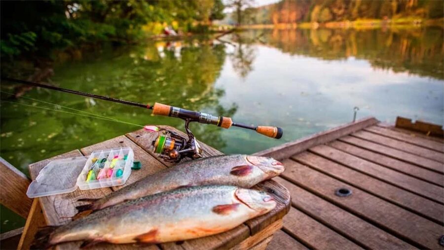 Rovaniemi: Summer & Autumn Fishing Tour in Lapland & BBQ - Warm Drinks and Wilderness BBQ: The Lapland Break You’ll Actually Enjoy
