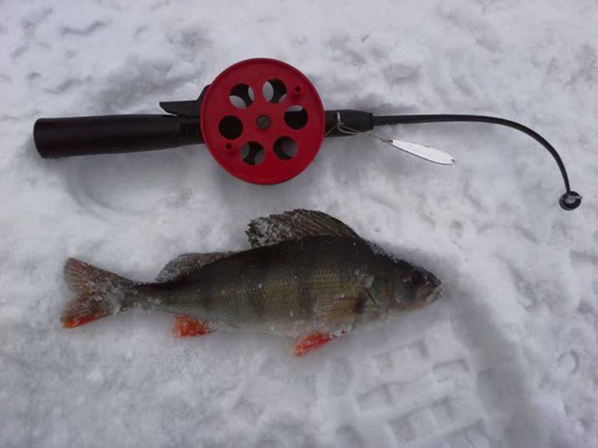 Ruka: Ice fishing trip - If You Catch Fish: Preparation by Open Fire