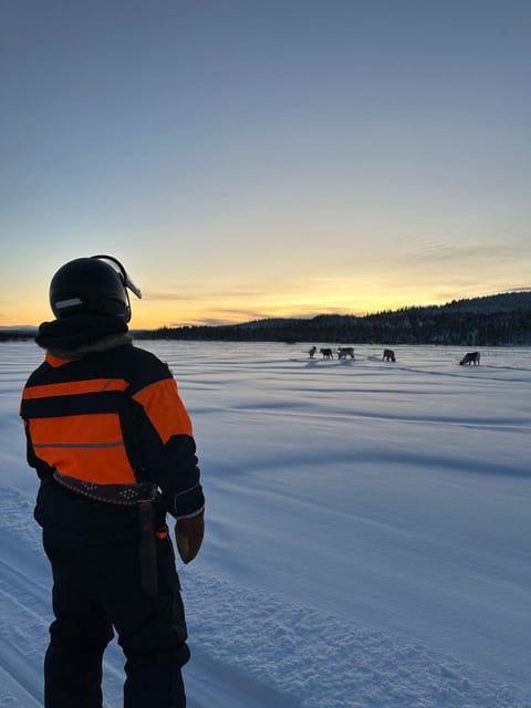 Saariselkä: Ice Fishing Tour to Lake Inari, reindeers& lunch - The reindeer island meet: photos with Tina and Tapio
