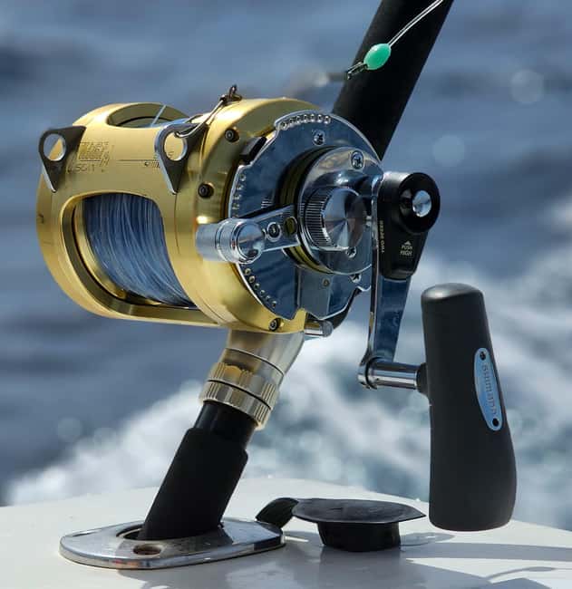 Santa Cruz de Tenerife: Private Family Fishing Tour - Lagoon break: swim time without leaving the story