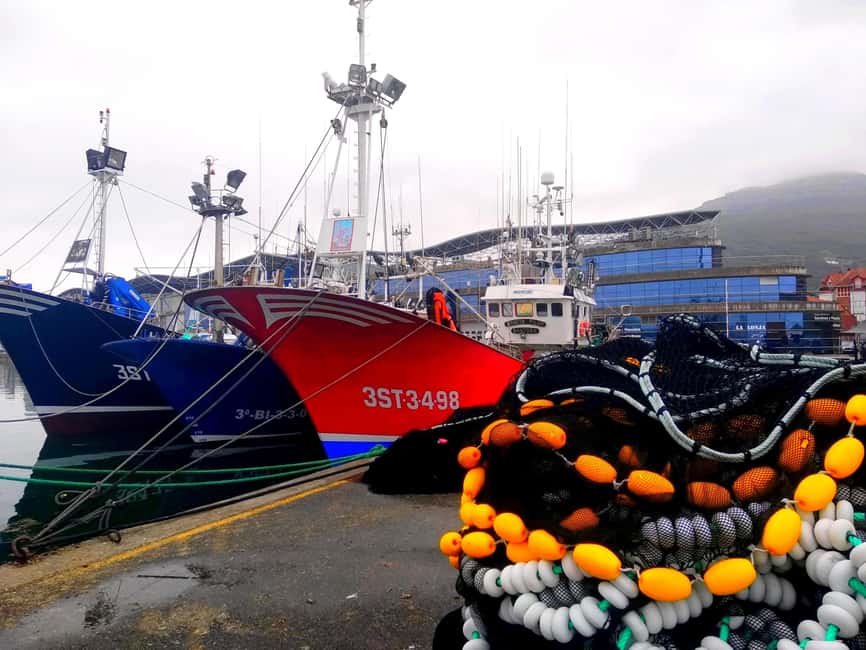 Santoña: Anchovy Art Gallery with Fishing Port and Market - Key things you’ll notice on this Santoña anchovy tour