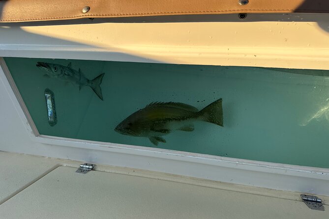Santorini Fishing Private Cruise boat tour - BBQ, Snorkeling - Price and value: why $514.18 per person can still feel fair