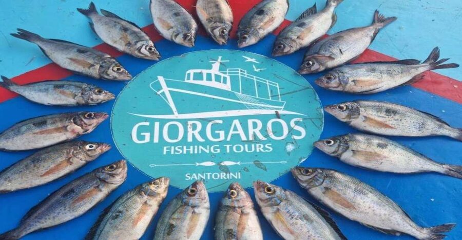Santorini: Traditional Fishing Trip and Fresh Fish Lunch - A traditional fishing boat, not a big cruise
