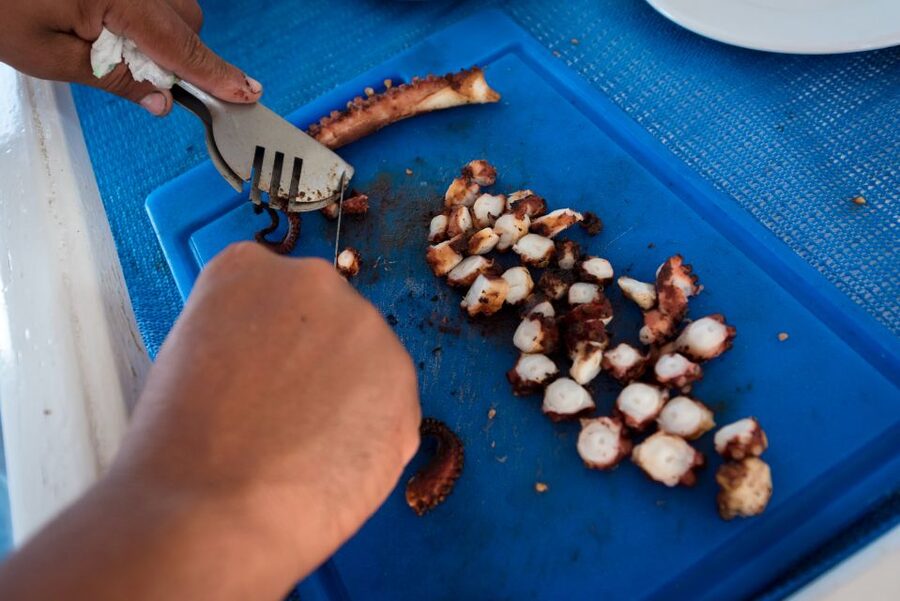 Santorini: Traditional Fishing Trip and Fresh Fish Lunch - Traditional fishing lessons: shrimp, nets, and rod-and-line practice