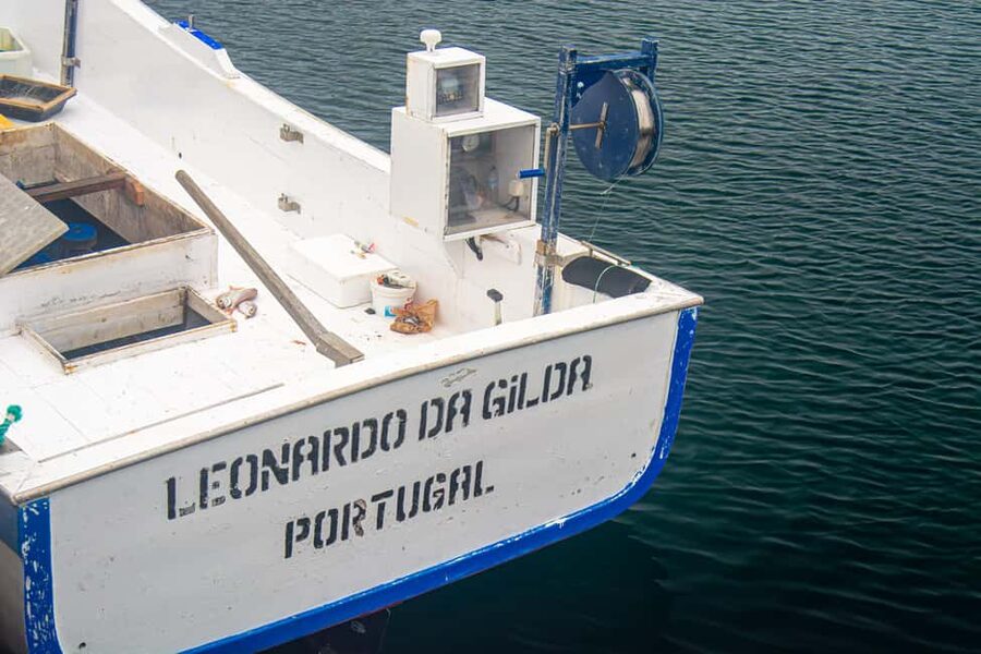 Sao Miguel: Azores Traditional Fishing - Half Day - Traditional Line Fishing Up Close: The Skill You’re Learning