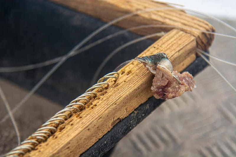 Sao Miguel: Azores Traditional Fishing - Half Day - Practical Tips to Make Your Half-Day Easier