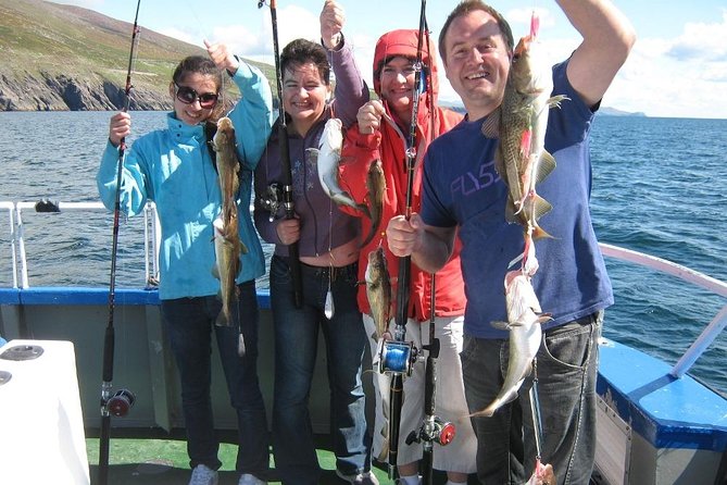 Sea Fishing 2 hour - The 3:00 pm meet-up at Dingle Marina (and why timing helps)
