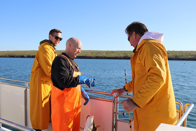 Sea Fishing Experience from Reykjavik - Key things to know before you go